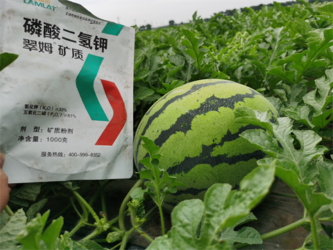 水溶肥，翠姆，拉姆拉