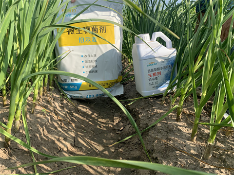 水溶肥品牌,伯示麥,拉姆拉 水溶肥品牌,伯示麥,拉姆拉