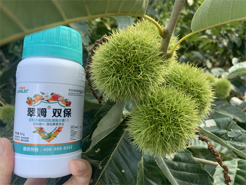 水溶肥品牌,板栗?；ū９?翠姆雙保