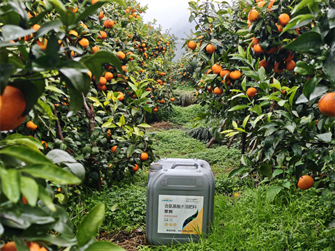 水溶肥品牌,拉姆拉,滴灌級(jí)特種肥