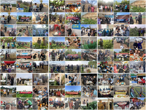 拉姆拉滴灌級特種肥,水溶肥,新年